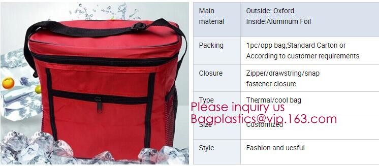 Customized logo printing insulated food delivery cooler bag,wholesale waterproof food delivery thermal bags bagplastics