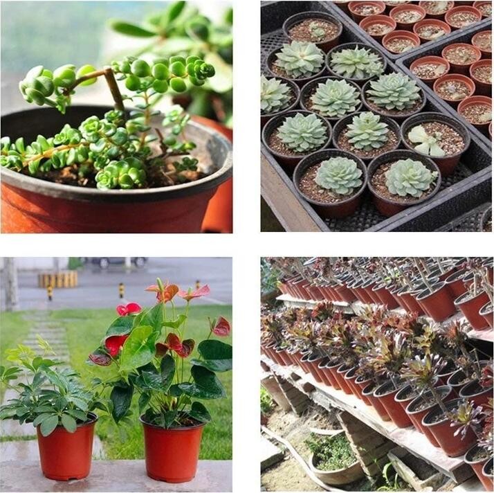 HOTICULTURAL MULCH FILM,AGRICULTURAL PE FILM,MARKET GARDENERS CLOCHE FILM,PE FILM FOR CORN,PLASTIC FILM COVER,TOMATO COV